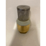 3/4′ Check Valve with Filter
