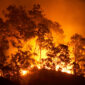 Bushfire rages in Australia